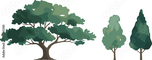 Stylized green deciduous and cypress tree vector illustrations isolated on white background, layered foliage design elements for landscaping projects