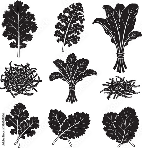 Black and White Illustration of Various Leafy Greens and Vegetables