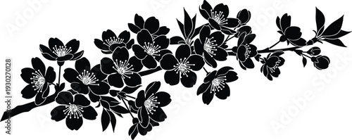 Cherry blossom branch silhouette vector illustration, black floral design element, elegant sakura flowers isolated on white background
