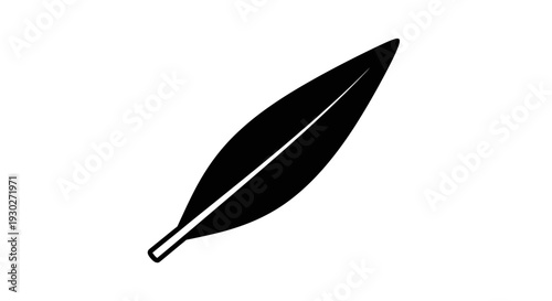 Black Quill Pen Icon, Writing Symbol, Isolated on White Background