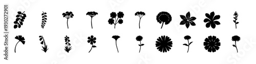 Black Flower Silhouettes Botanical Icon Set Collection- Row of black botanical silhouettes featuring various flowers and plant shapes, isolated on white background for creative design use.