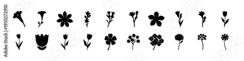 Black Floral Silhouettes Icon Collection Set- Minimal black flower and plant silhouettes arranged in rows, isolated on white background for graphic design and decorative projects.