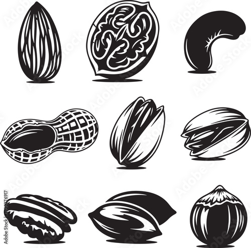 Black and White Illustration of Various Nuts