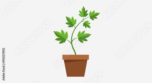Potted Plant Illustration – Indoor Green Leaf Houseplant Vector Design