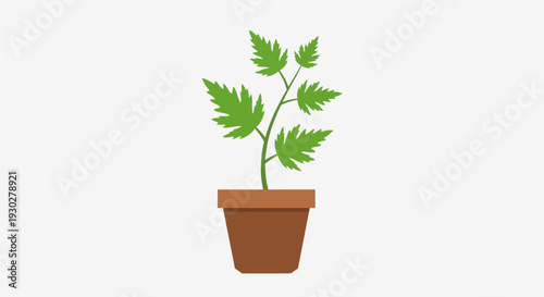 Potted Plant Illustration – Indoor Green Leaf Houseplant Vector Design
