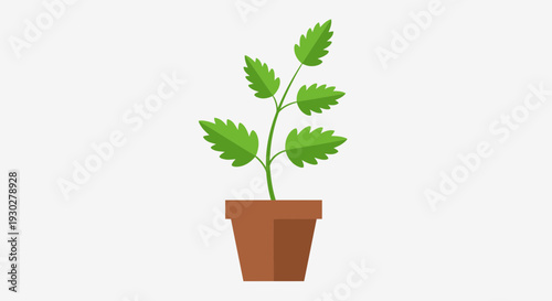 Potted Plant Illustration – Indoor Green Leaf Houseplant Vector Design