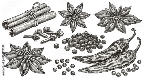 Spices and herbs illustration black and white star anise cinnamon cardamom chili peppers and peppercorns on white background