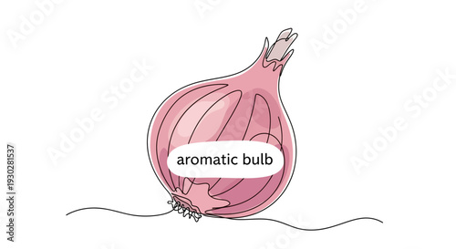 Single Red Onion Aromatic Bulb Vegetable Isolated on White Background, Healthy Food Ingredient