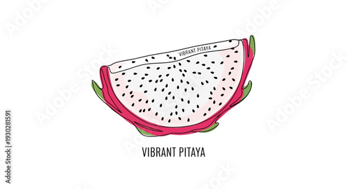 Slice of Vibrant Pitaya Fruit with Black Seeds, Hand-Drawn Illustration
