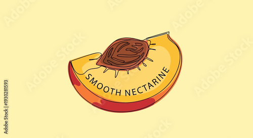 Slice of Smooth Nectarine with Pit, Fresh Fruit, Healthy Food, Yellow Background