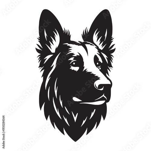 Pri**Majorca Shepherd Dog – Loyal, Intelligent and Powerful Spanish Guardian Breed with Strong Protective Instincts, Agile Working Ability, Confident Temperament, Family Devotion.