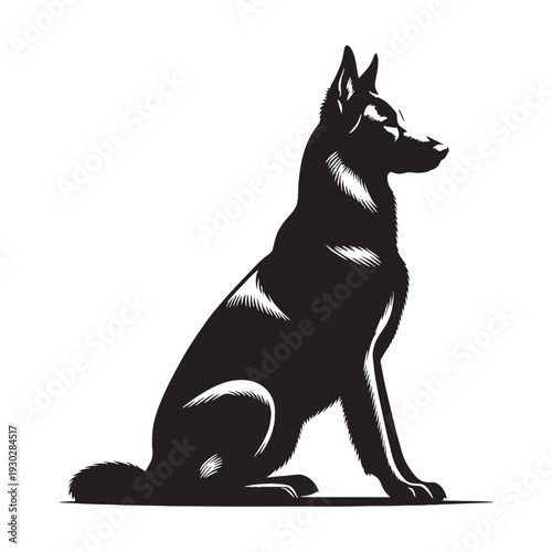 Pri**Majorca Shepherd Dog – Loyal, Intelligent and Powerful Spanish Guardian Breed with Strong Protective Instincts, Agile Working Ability, Confident Temperament, Family Devotion.