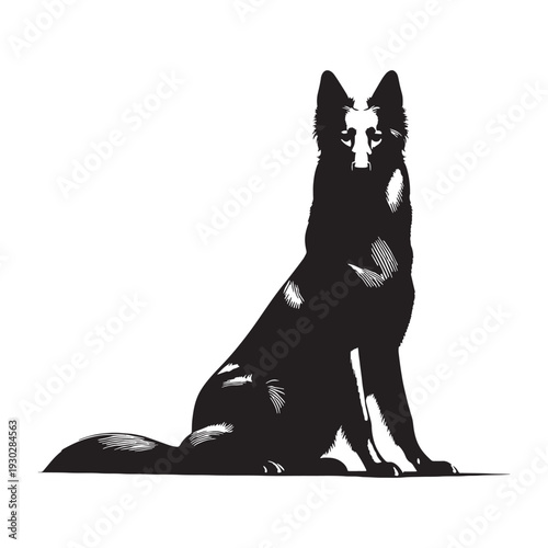 Pri**Majorca Shepherd Dog – Loyal, Intelligent and Powerful Spanish Guardian Breed with Strong Protective Instincts, Agile Working Ability, Confident Temperament, Family Devotion.