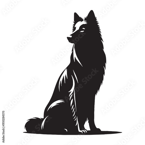 Pri**Majorca Shepherd Dog – Loyal, Intelligent and Powerful Spanish Guardian Breed with Strong Protective Instincts, Agile Working Ability, Confident Temperament, Family Devotion.