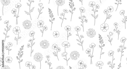 Black and white wildflower line drawings.