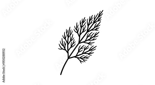 Minimalist Dill Herb Leaf Silhouette, Delicate Greenery Branch, Black and White Line Art