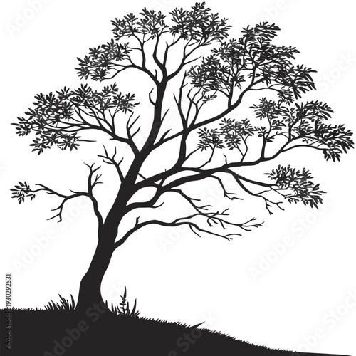 Black winter oak tree silhouette vector illustration with bare branches in a simple nature landscape design