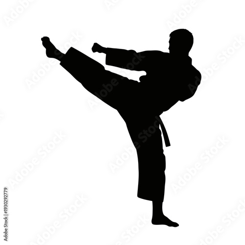 Martial arts athlete executing a high kick in dynamic pose