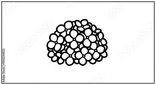 Hand-drawn illustration of a cluster of delicate flowers in a minimalist style