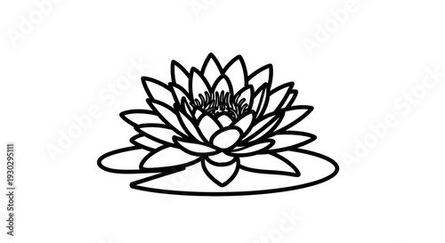 Elegant Water Lily Flower Outline Icon on White Background