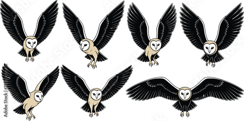 Barn owl flying set illustration, detailed vector collection of nocturnal bird with spread wings isolated on white background