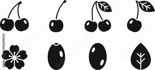 Cherries, a blossom, a seed, and a leaf. Cherries in various forms (paired, single, with leaf), a cherry blossom (flower), a seed, and a separate leaf. 