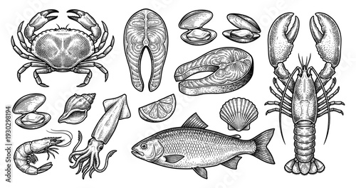 Seafood and fish collection in vintage engraving style