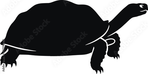 Black silhouette of a giant Galapagos tortoise walking isolated on white background representing nature wildlife conservation longevity slow pace and ancient reptile species evolution
