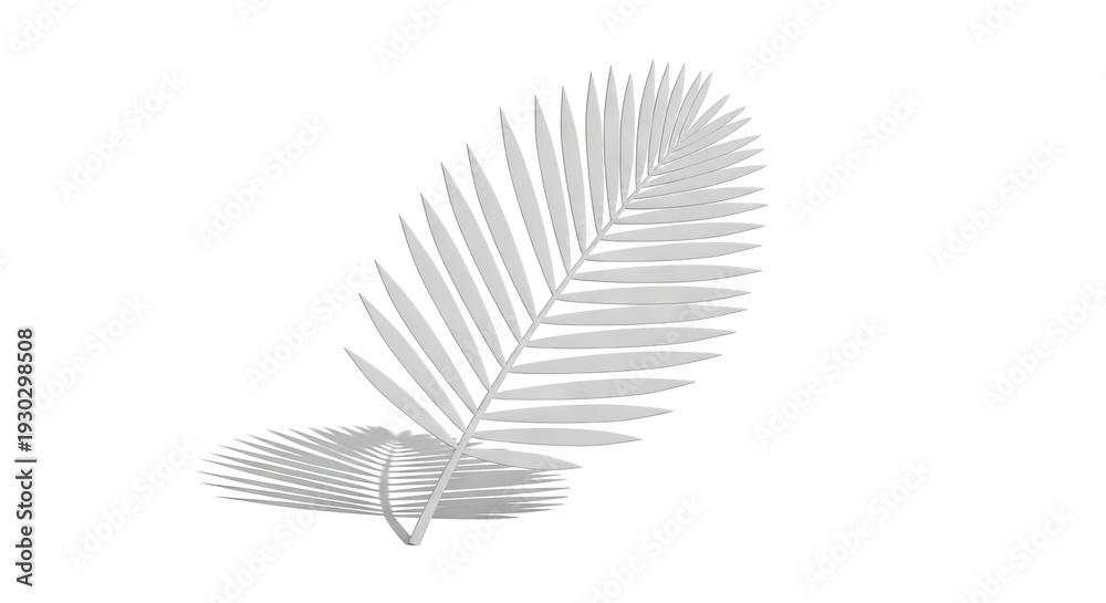 Fototapeta premium Monochromatic Palm Frond with Shadow