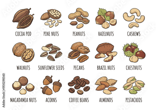 Edible nuts and seeds set in vintage hand drawn style