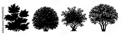 Deciduous tree and garden bush silhouette set
