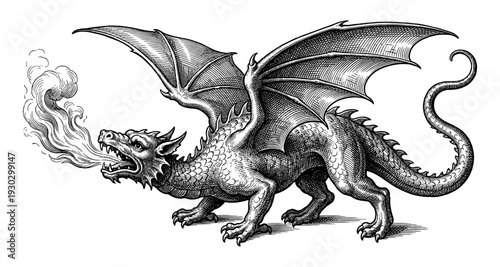Fire breathing dragon mythological creature in engraving style