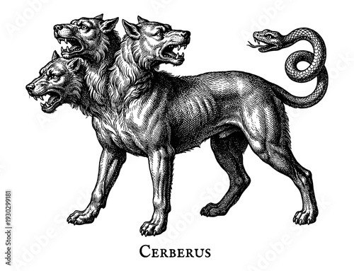 Cerberus three headed dog mythological creature in engraving style