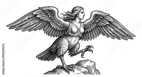Harpy Greek mythological creature in vintage engraving style