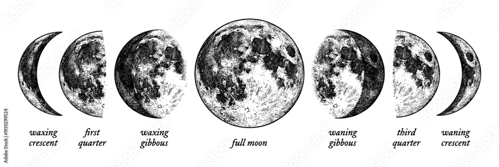 Obraz premium Moon phases diagram set in vintage engraving style