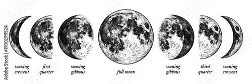 Moon phases diagram set in vintage engraving style