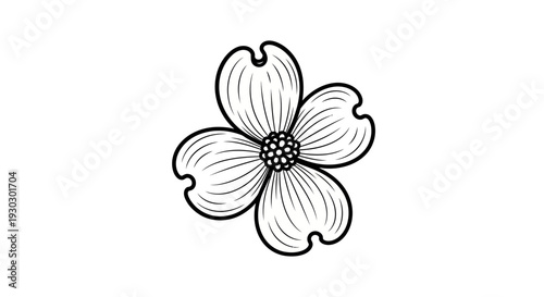 Black and White Dogwood Flower Illustration, Simple Line Art, Botanical Sketch