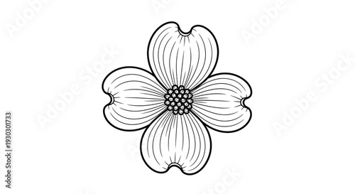 Black and White Dogwood Flower Outline Drawing