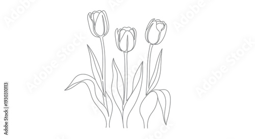 Foto Continuous line art of three elegant tulips with leaves, spring flower design