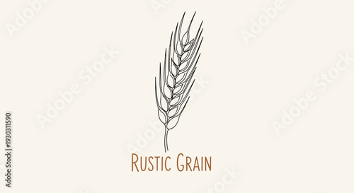 Rustic Grain Ear - Hand Drawn Illustration on Beige Background