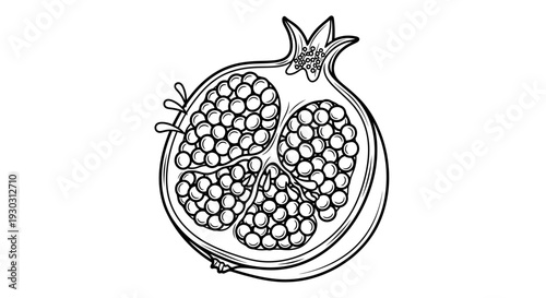 Pomegranate half cut open showing seeds, line art illustration, healthy fruit, food graphic