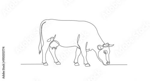 Grazing Dairy Cow Eating Grass in Continuous Line Art Style