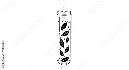 A black and white line drawing illustrating a scientific experiment with a test tube, liquid, and leaves, suggesting botanical or chemical research.