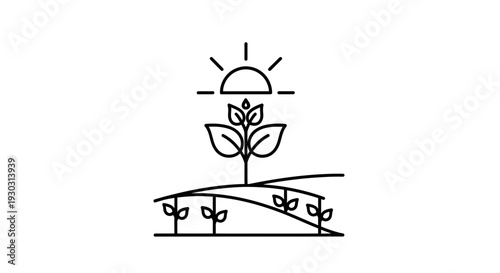 Sunrise Over Growing Plants in Field, Agriculture Concept, Organic Farming Icon