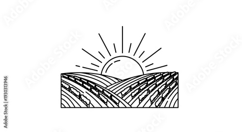 Sunrise Over Rolling Farmland Fields, Agricultural Landscape, Nature Background