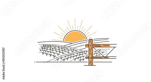 Sunrise Over Vineyard Fields with Wooden Fence and Irrigation System