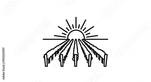 Sunrise Over Vineyard Rows, Agricultural Landscape, Organic Farming, Vineyards