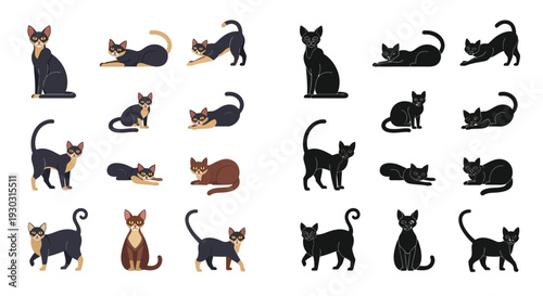 Collection of diverse cat breeds and poses, showcasing their unique physical characteristics and elegant movements in a stylized illustration.