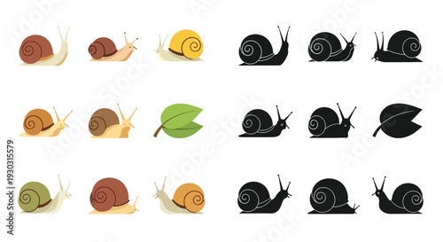 Collection of stylized snail illustrations in various colors and poses, alongside silhouette versions and a green leaf.