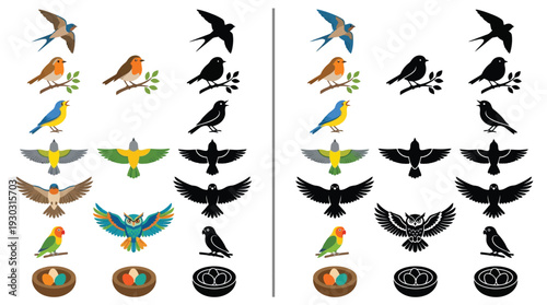 A visual comparison of colorful bird illustrations and their black silhouette counterparts, showcasing various species in flight and at rest.
